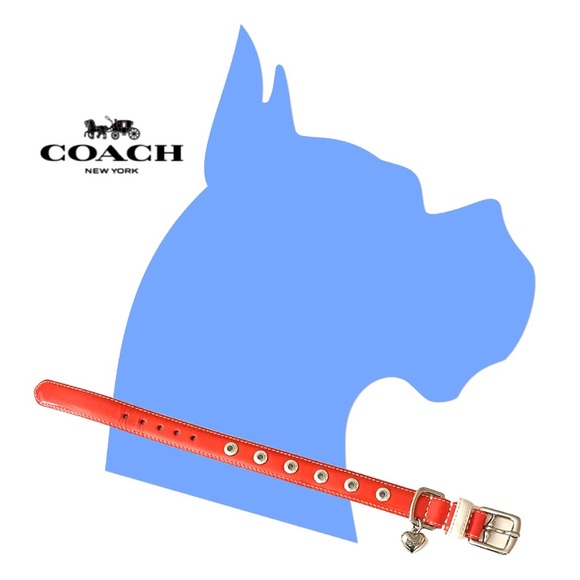 💯 Coach Dog Collar in Genuine Patent Leather–Orange with Ivory Stitching XS Dog